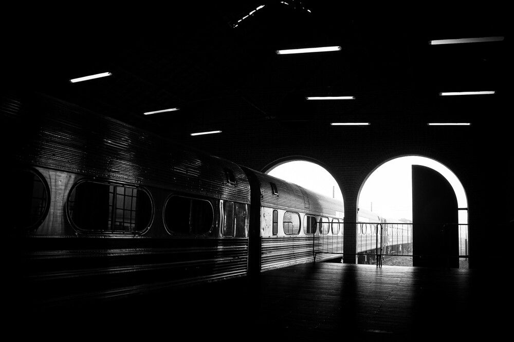 Photograph by Carmem D` Luca