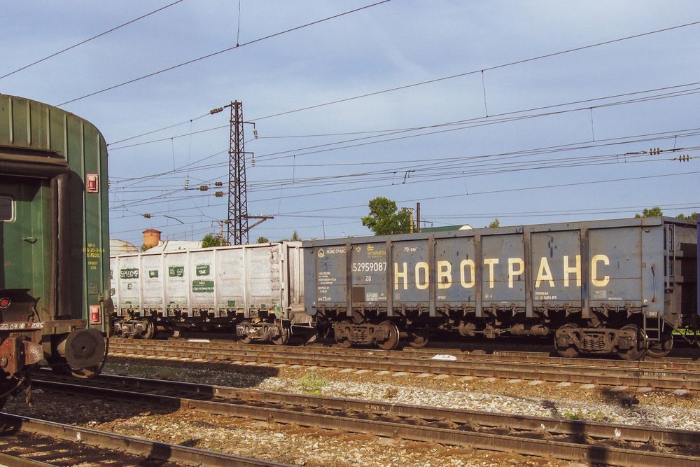 Фотография автора Наталья Веселкина