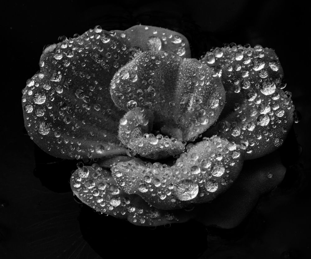 Photograph by Татьяна Сергиенко