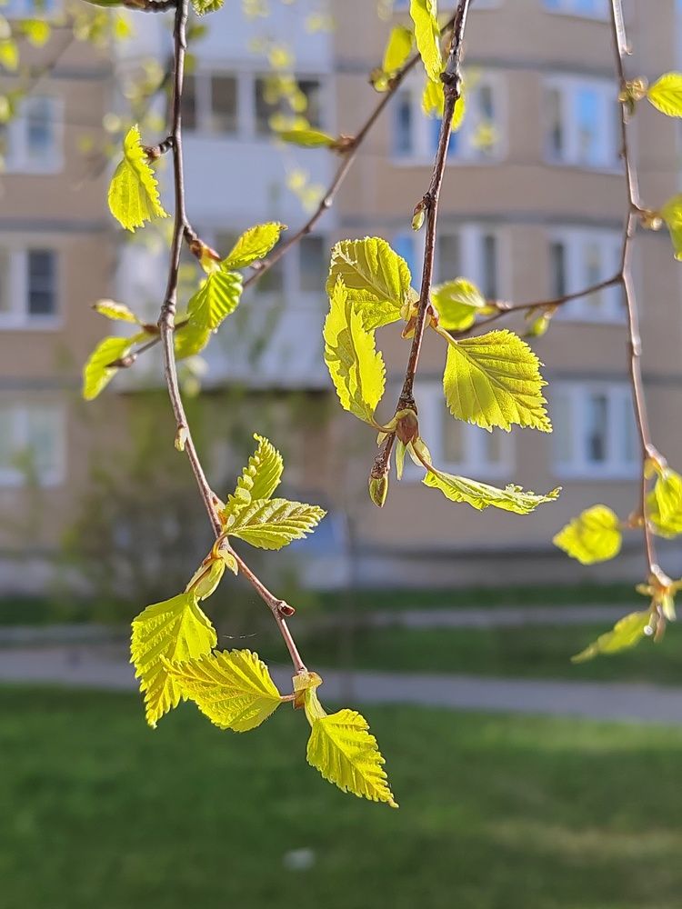Photograph by Ольга Рыбина