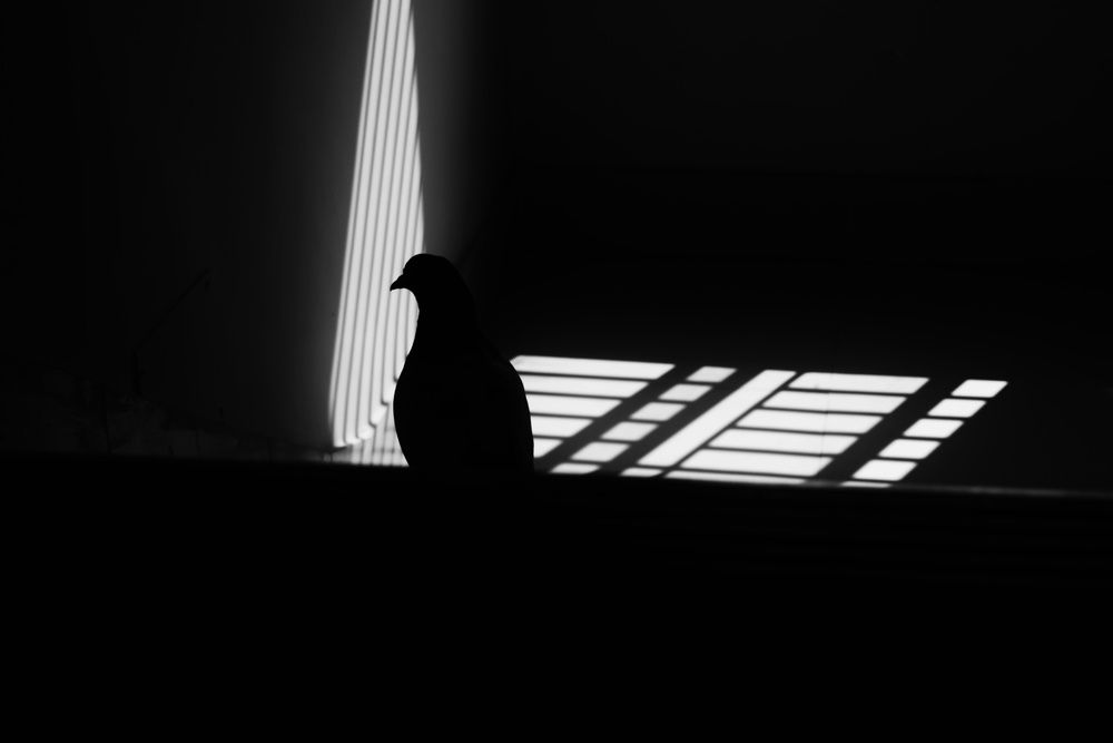 Photograph by Sheuli Akther
