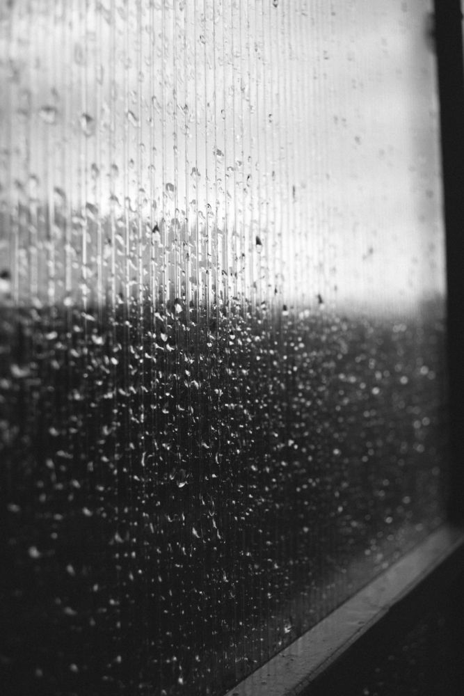 Photograph by Никита Зубов