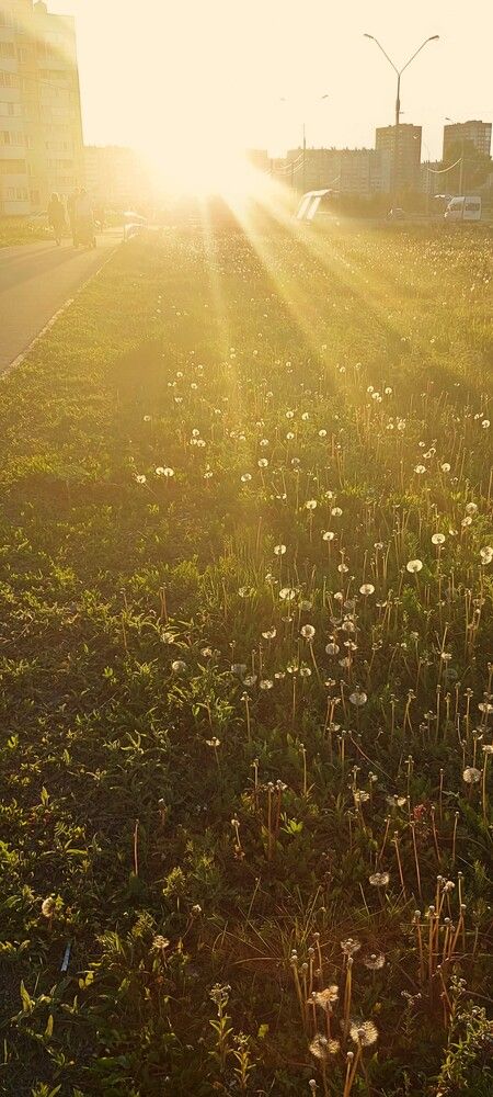 Photograph by Алена Марченко