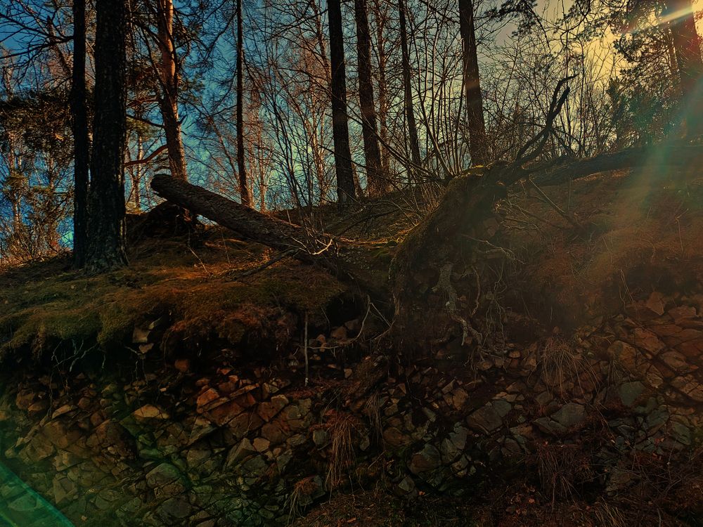 Photograph by Алена Марченко