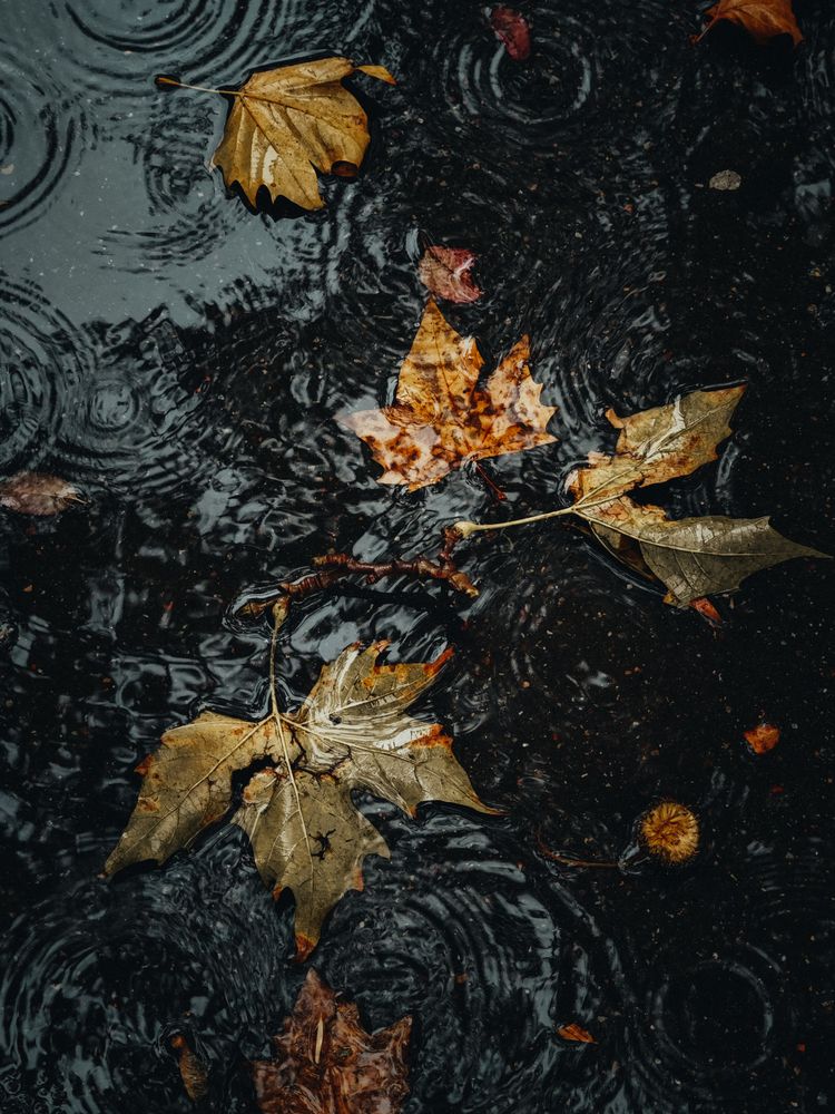 Photograph by Александра Шилова
