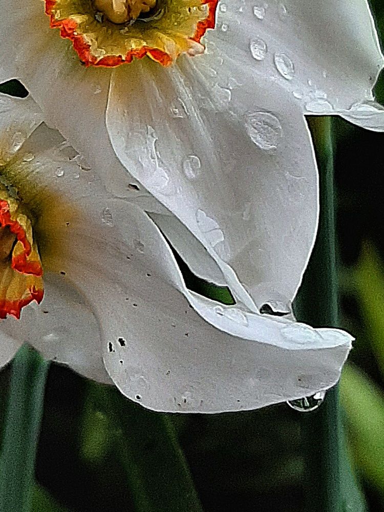 Photograph by Наталья Гаврилова