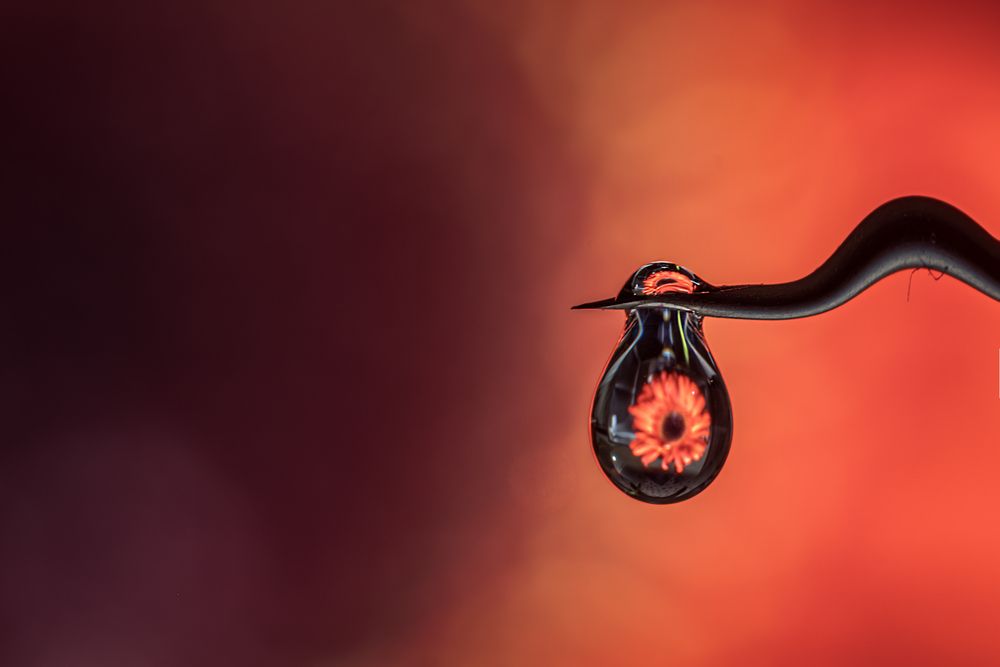 Photograph by Sıtkı Aksoy
