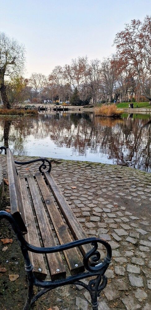 The Park Bench