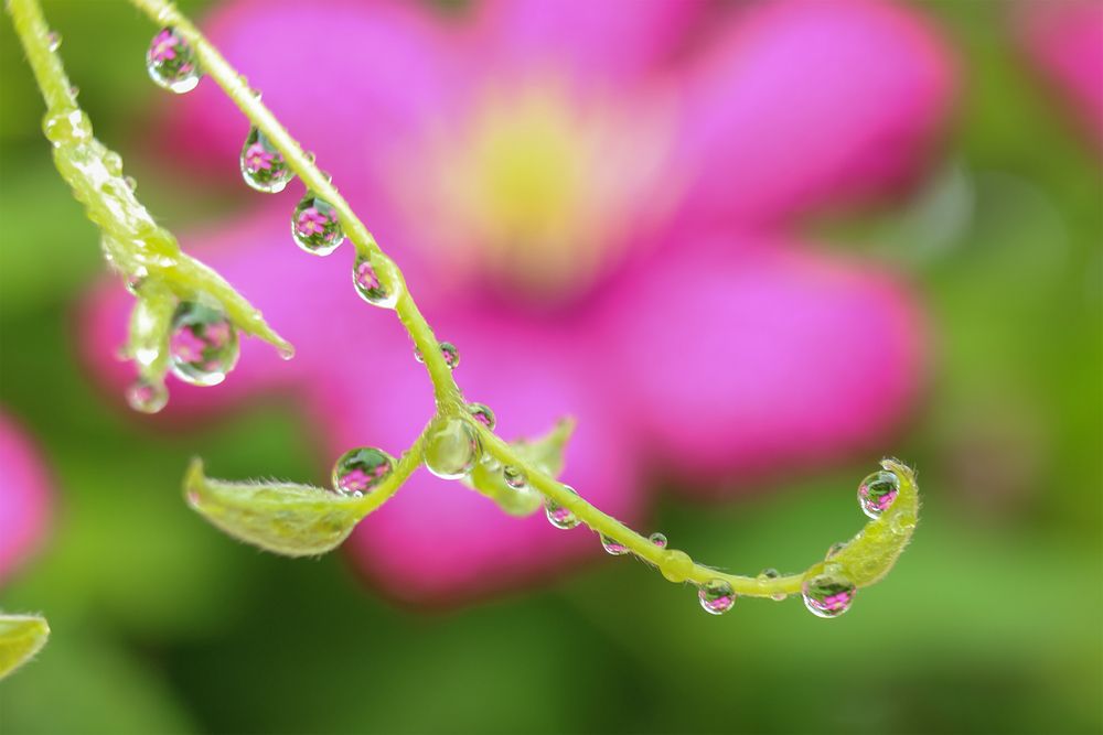 Photograph by Светлана Долотова