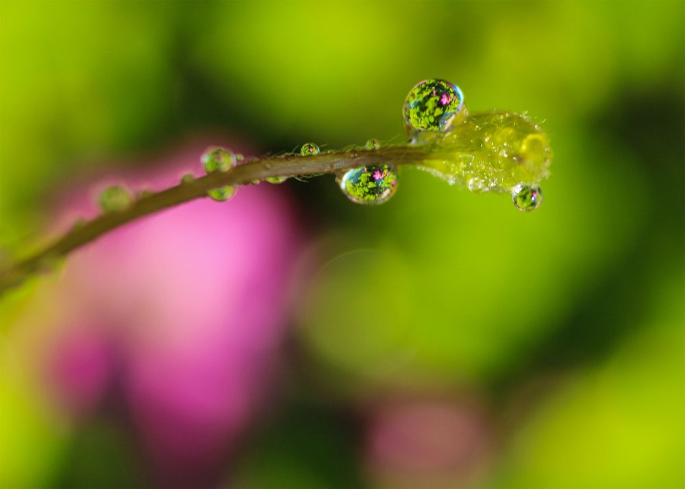 Photograph by Светлана Долотова