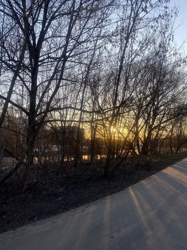 Фотография автора Наталья Мартынова