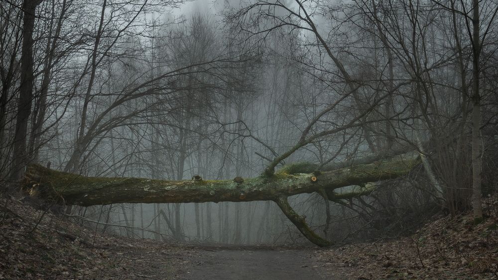 Photograph by Андреев Роман