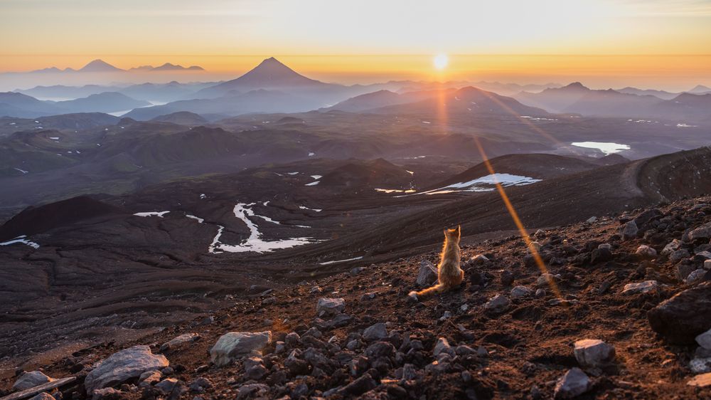 Photograph by Roman Vorobyev
