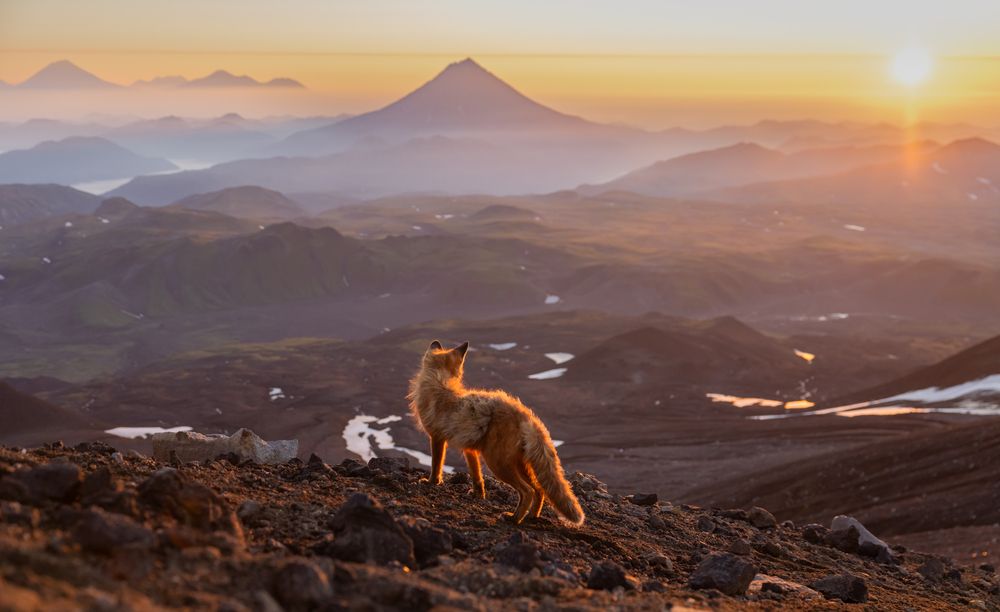 Photograph by Roman Vorobyev