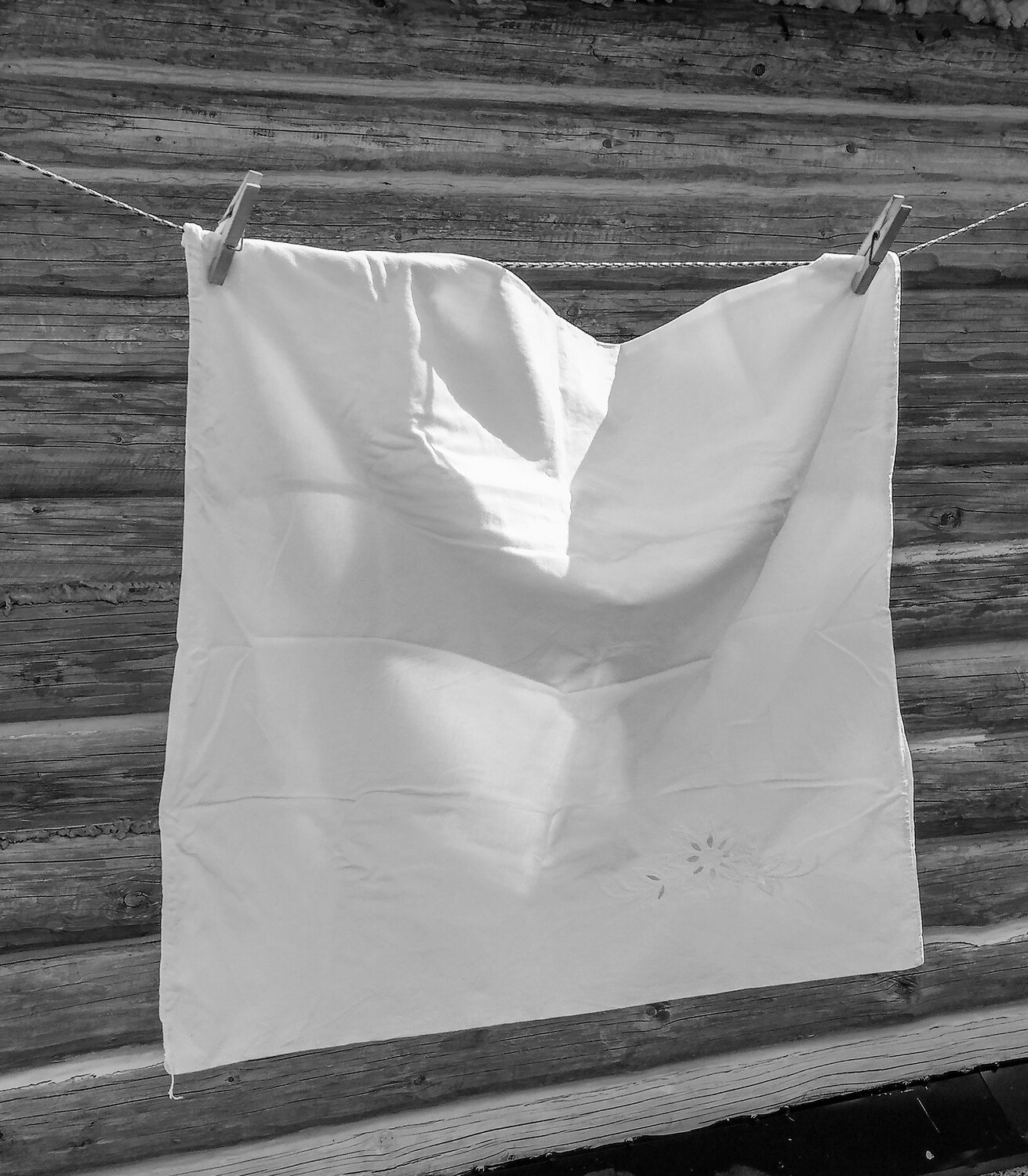 Photo #13563813