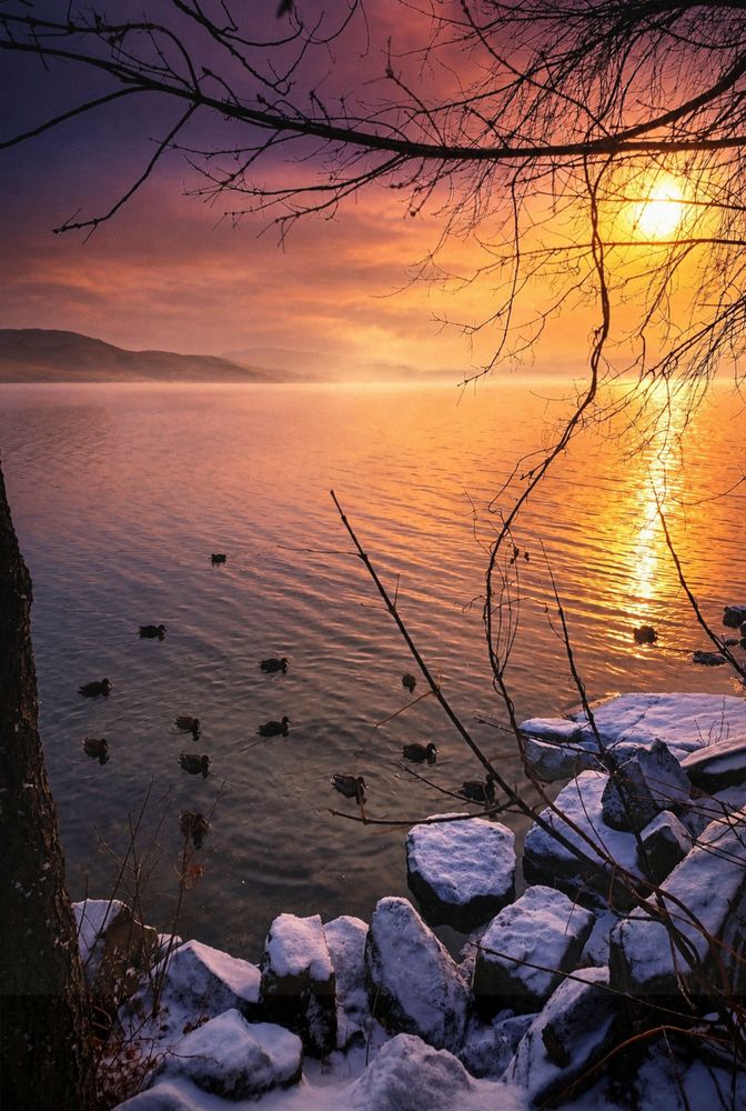 Photograph by Алена Марченко