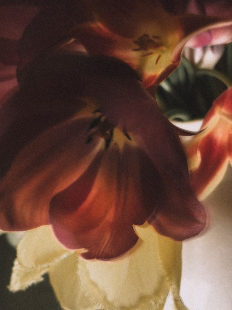 Photograph by Ксения Литвиненко