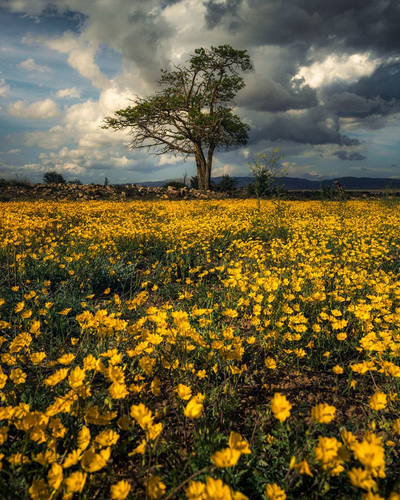Photograph by Daniel Villalba Garcia