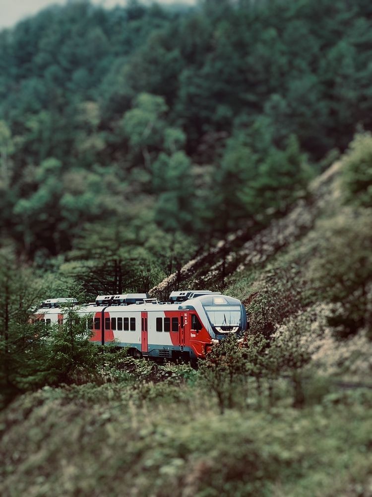 Photograph by Elena Menshikova