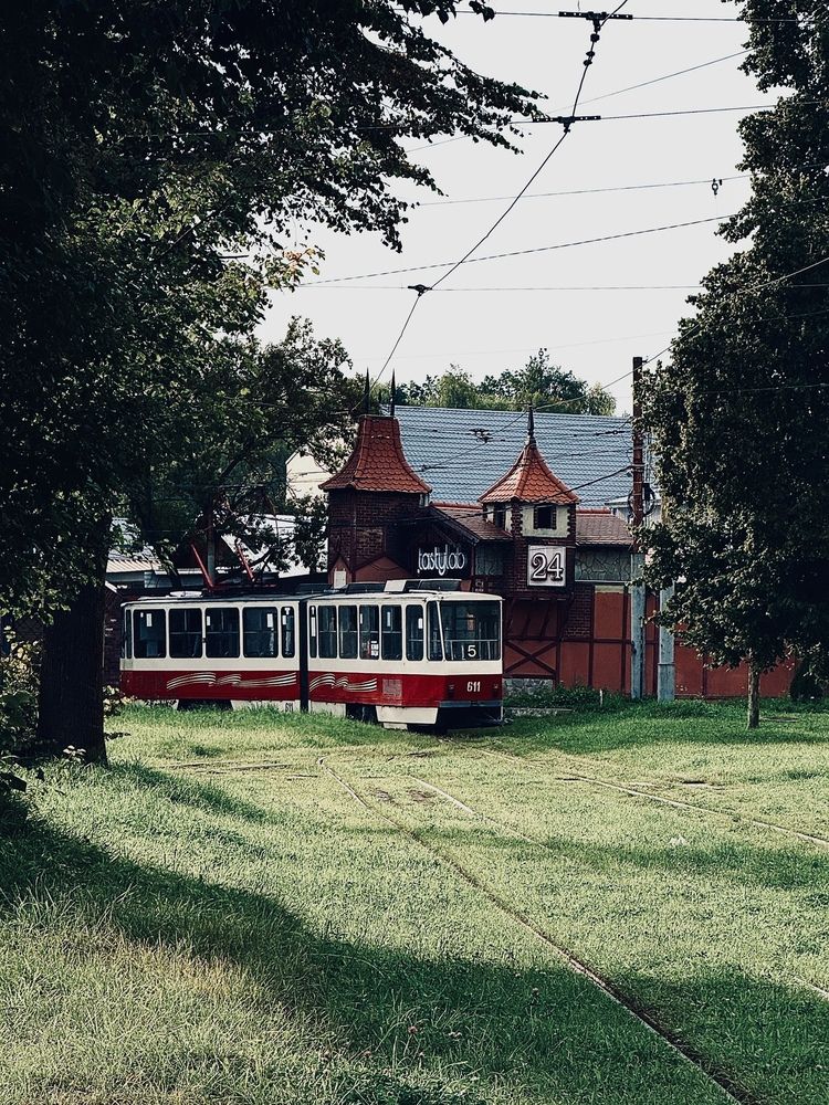 Photograph by Elena Menshikova