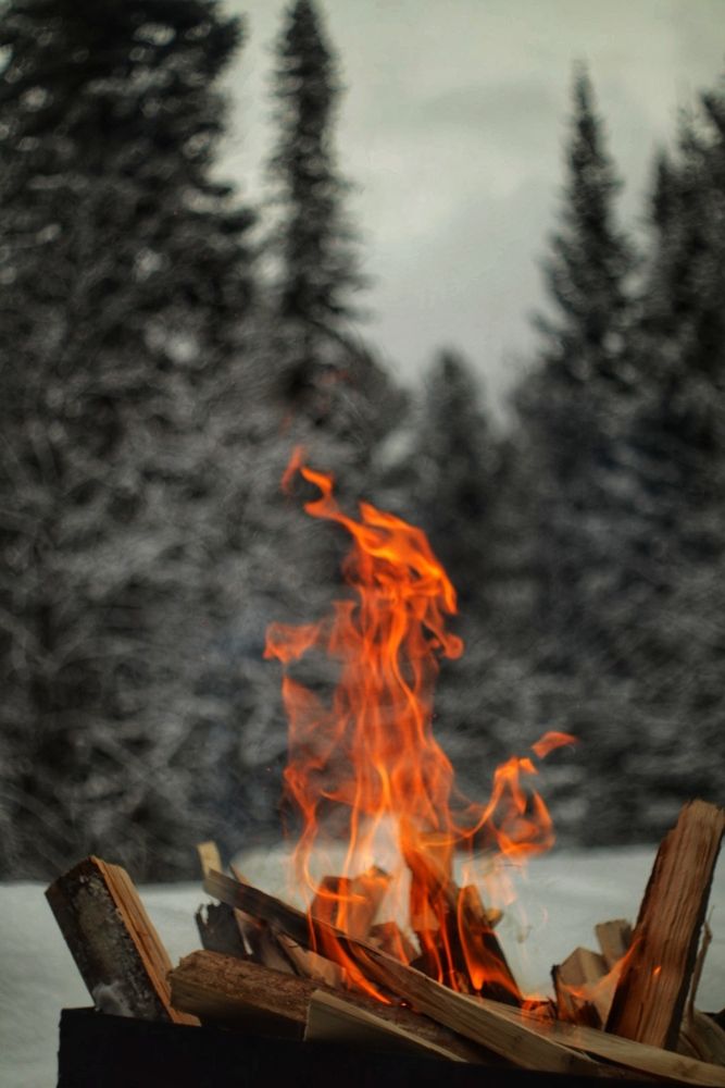 Photograph by Elena Kilina