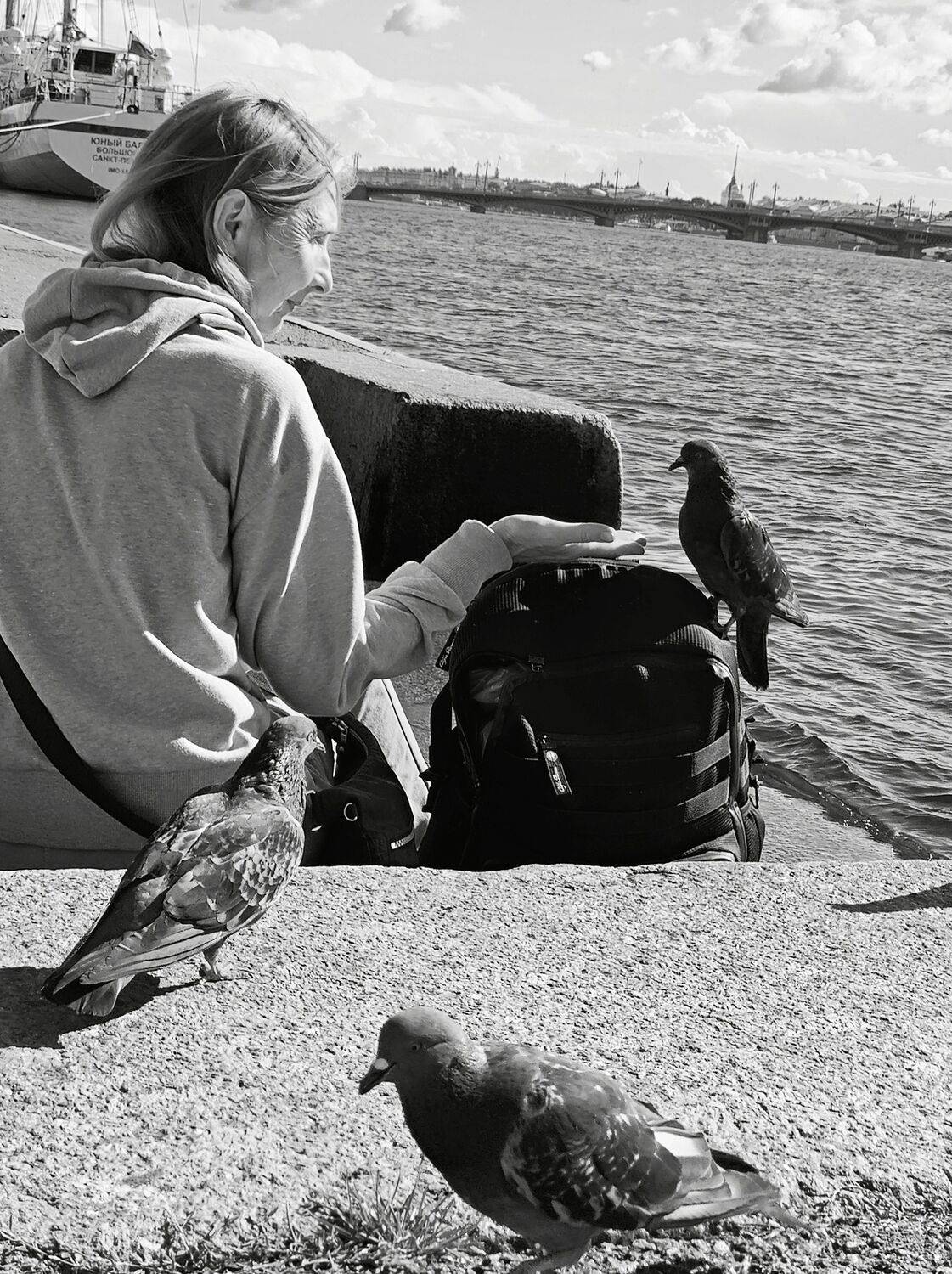 Photo #13564192