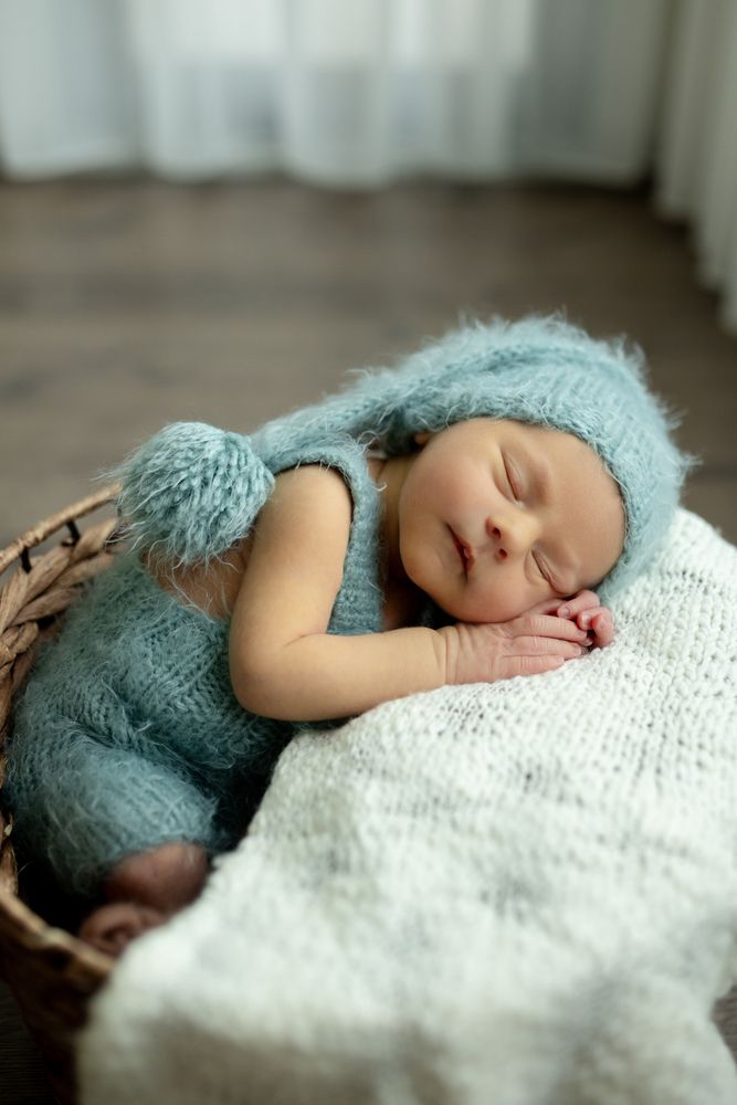 Photo #13564240
