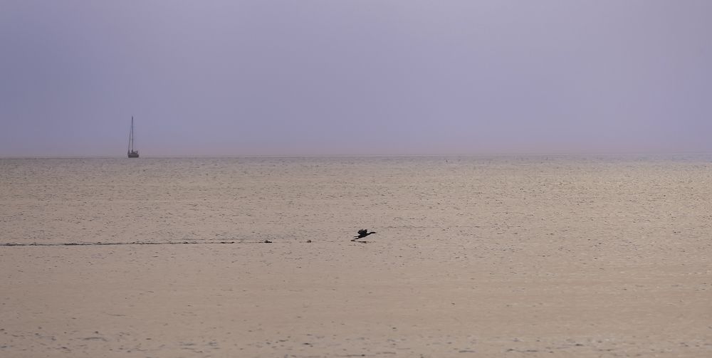 Photograph by Александр Широких