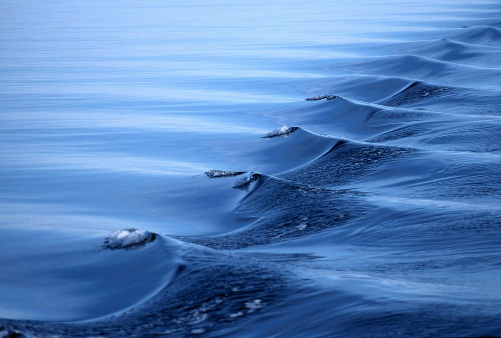 Photograph by Paolo Mola