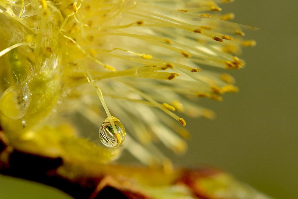 Photograph by Шруб (Беляева) Татьяна