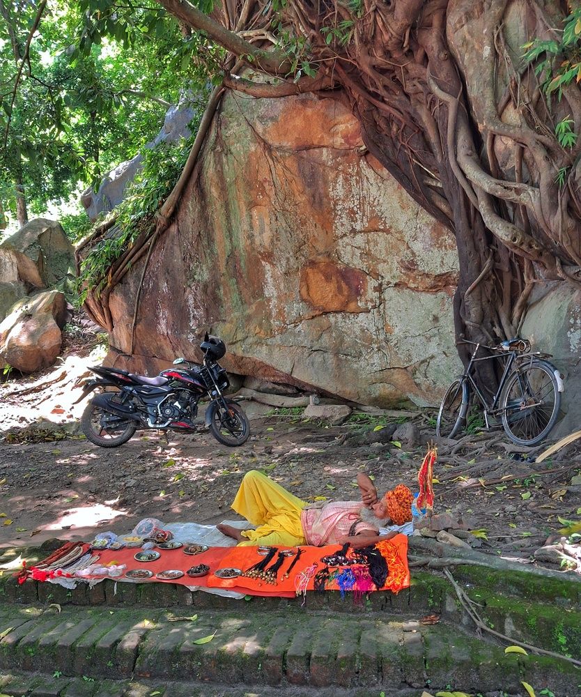 Rest Beneath the Ancient Roots