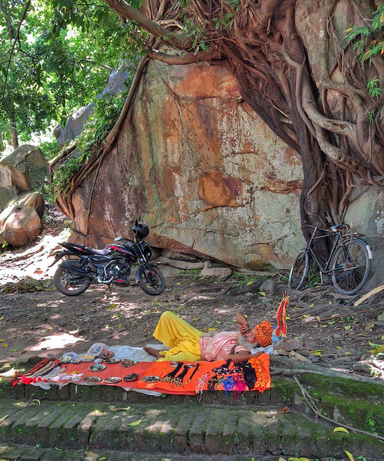 Rest Beneath the Ancient Roots