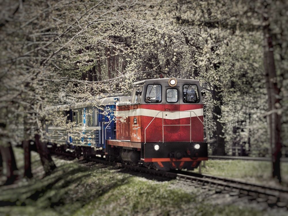 Фотография автора Лариса Дёмина