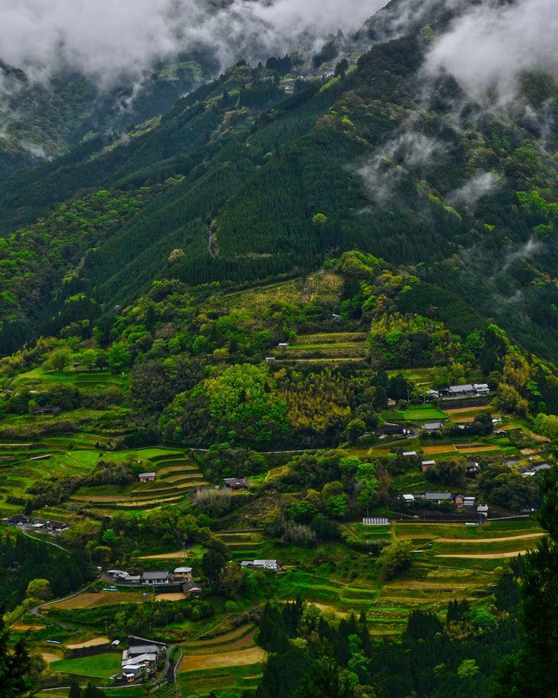 Layers of Green