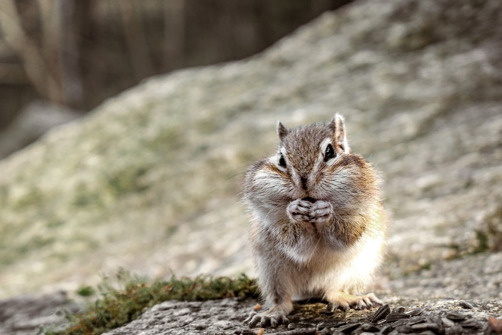 Photograph by Альфия Агзами