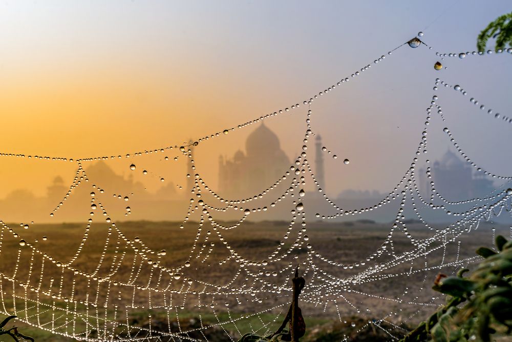 Photograph by Mukesh Tripathi