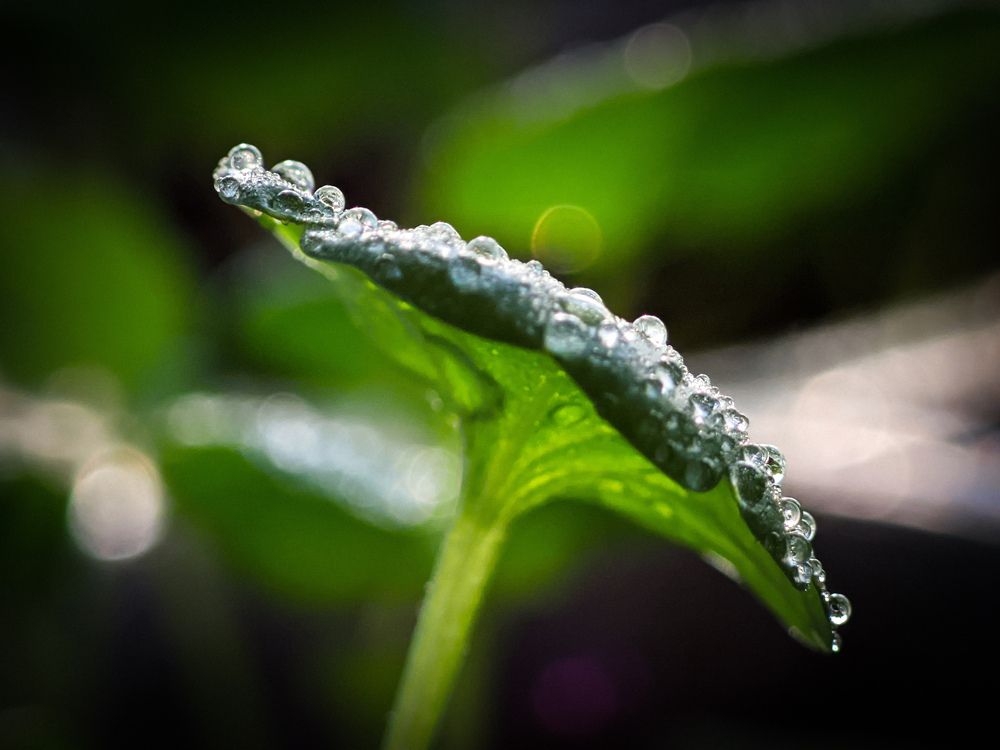 Photograph by Alexandr Gorelenkov
