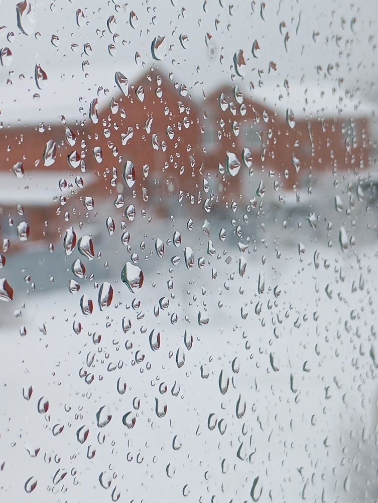 Photo #13565015