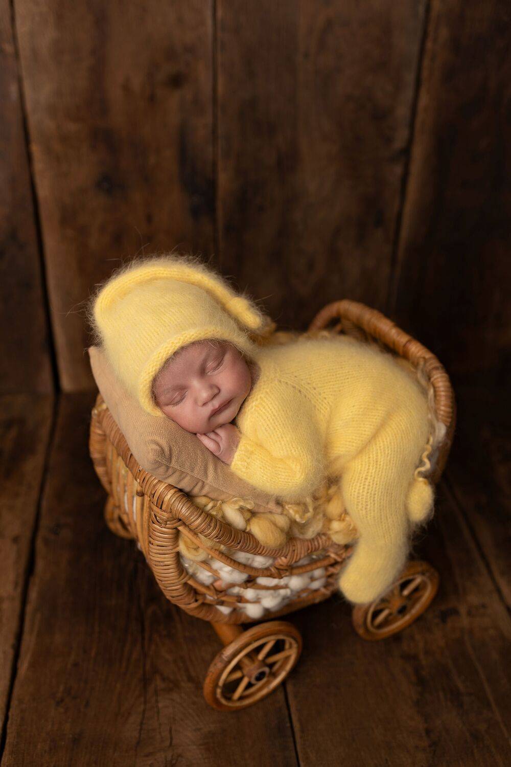 Photo #13565126