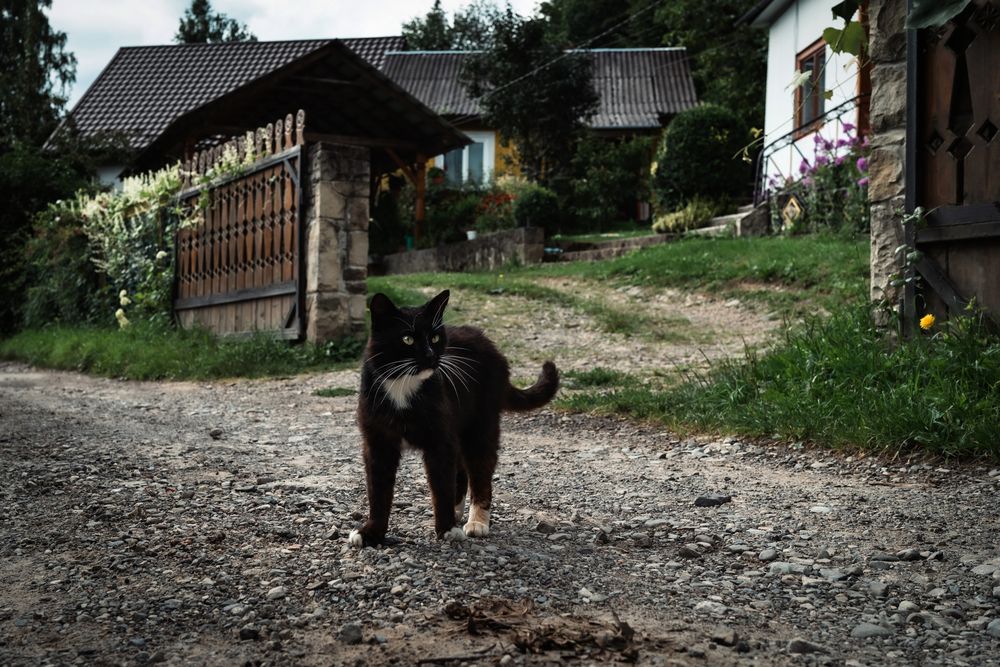 Photograph by Дима Шарапов