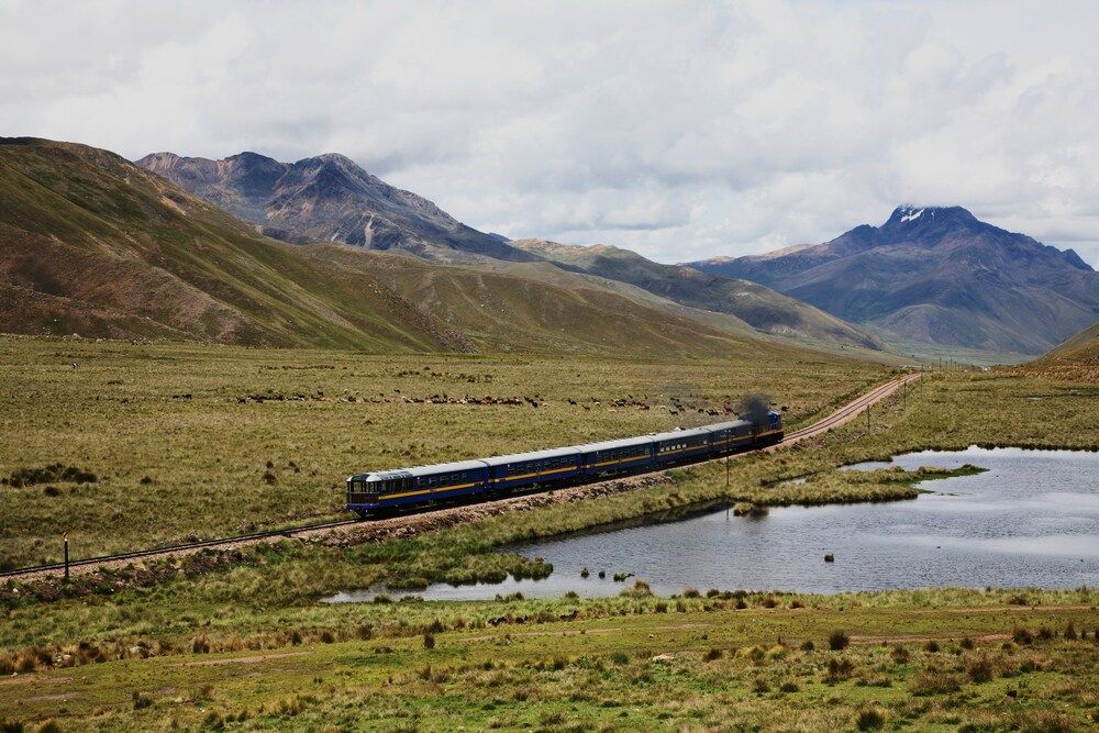 Photograph by Александр Журавлев