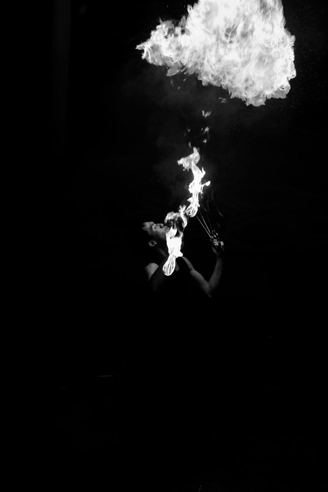 Photo #13565315