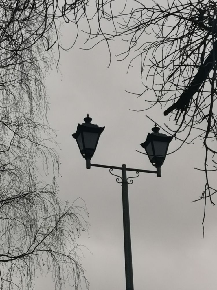 Photograph by Людмила Кириллова