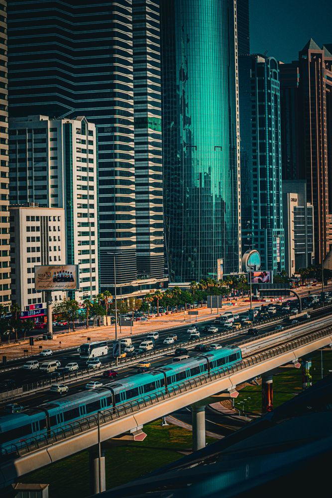 Фотография автора Sarrah Yehia