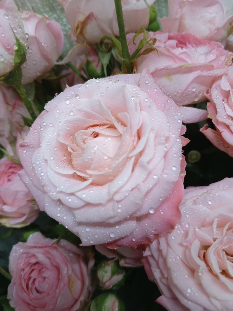 Photo #13565624