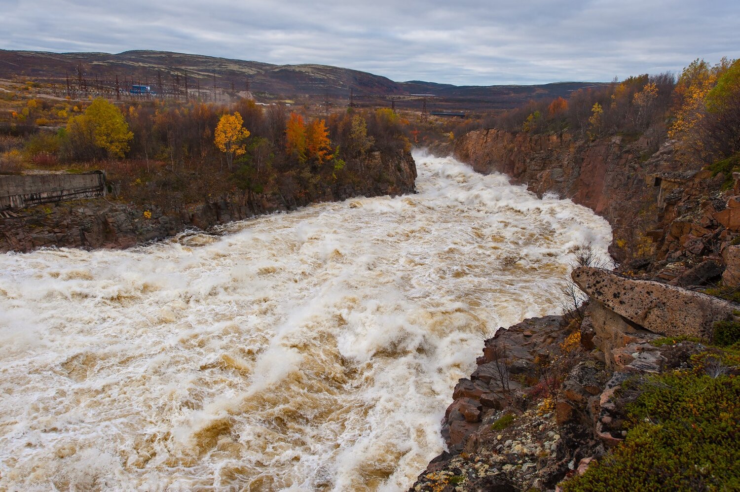 Photo #13565636