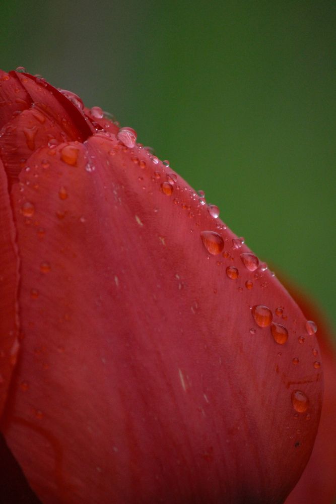 Photograph by Ирина Дмитриенко