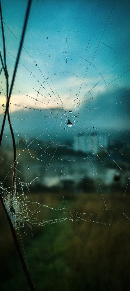 Photograph by Вадим Карпов