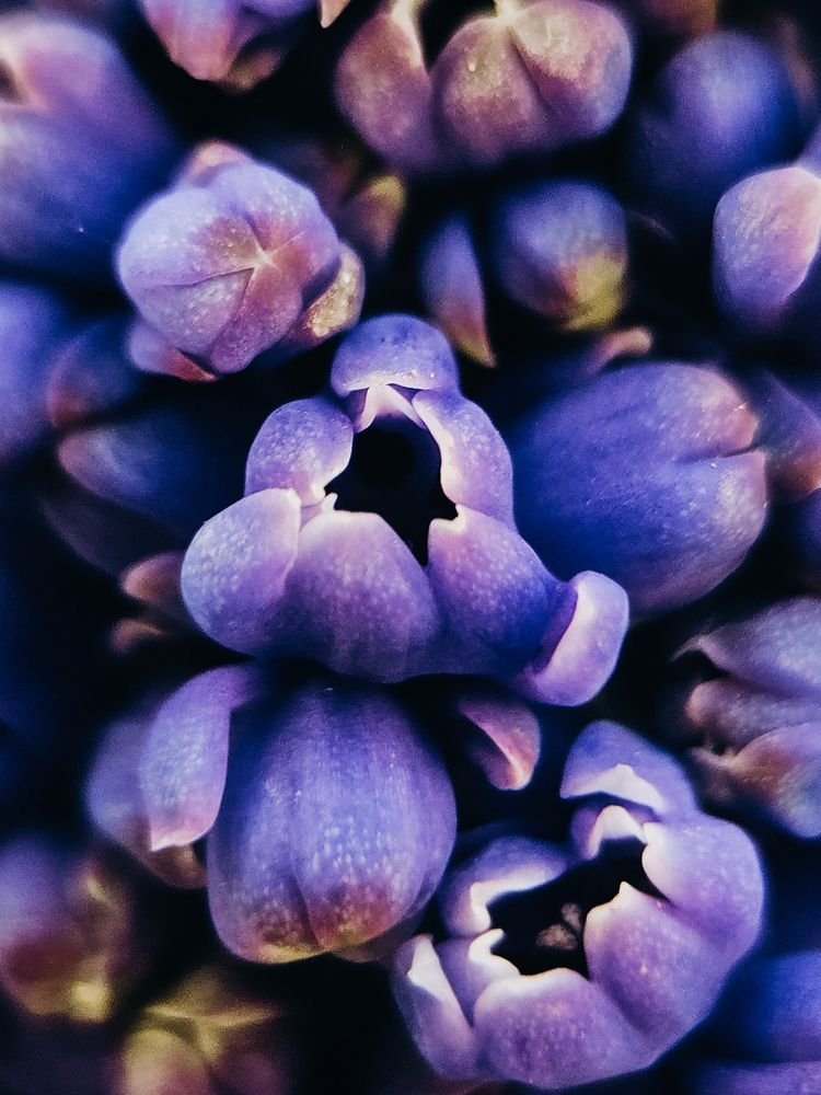 Фотография автора Кристина Альшанская