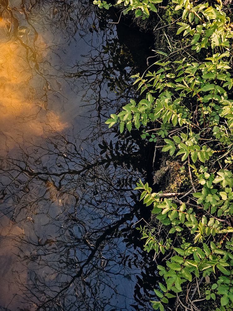 Photograph by Кристина Альшанская